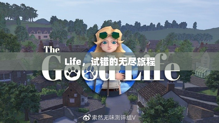 Life，试错的无尽旅程