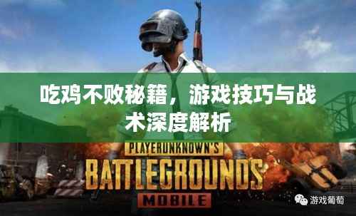 吃鸡不败秘籍，游戏技巧与战术深度解析