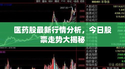 医药股最新行情分析，今日股票走势大揭秘