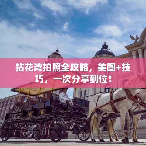 鸟入樊笼 第5页