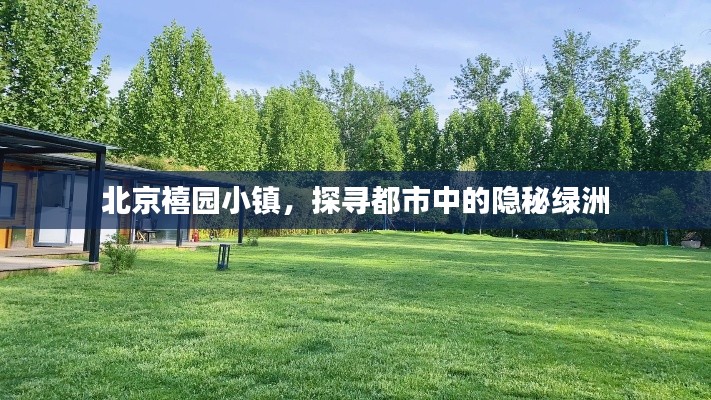 北京禧园小镇，探寻都市中的隐秘绿洲