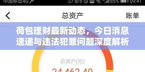 荷包理财最新动态，今日消息速递与违法犯罪问题深度解析