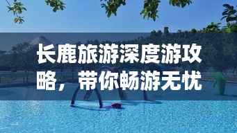 长鹿旅游深度游攻略，带你畅游无忧！