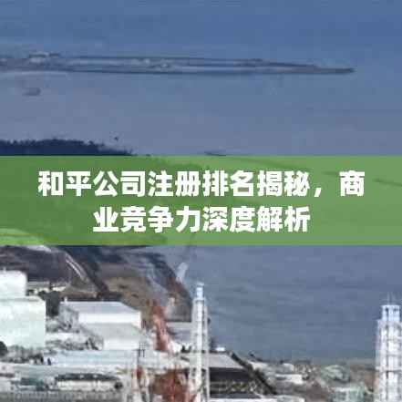 和平公司注册排名揭秘，商业竞争力深度解析