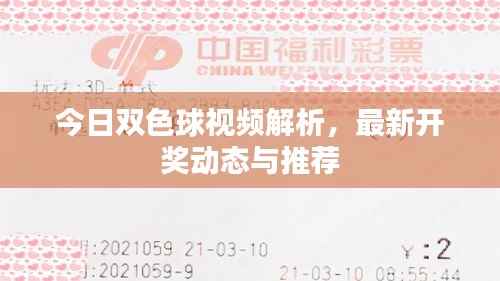 今日双色球视频解析，最新开奖动态与推荐