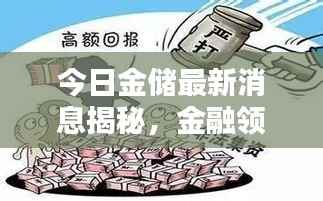 今日金储最新消息揭秘，金融领域犯罪问题深度探讨
