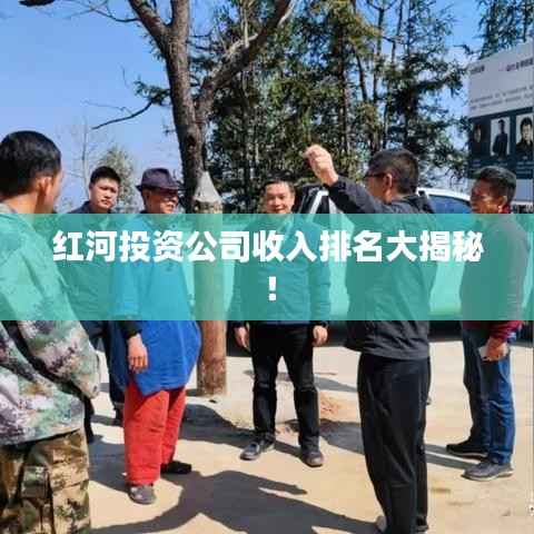 红河投资公司收入排名大揭秘！