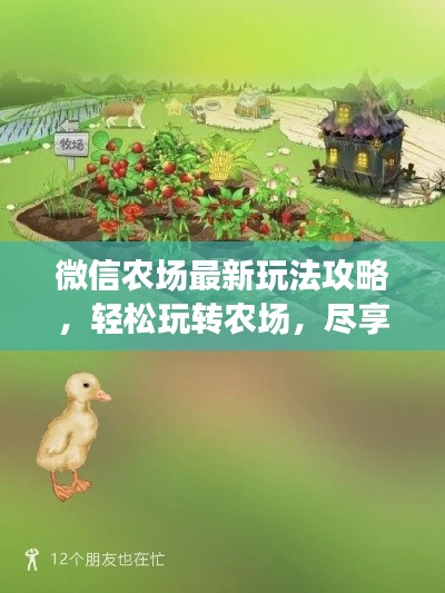 微信农场最新玩法攻略，轻松玩转农场，尽享乐趣无限！