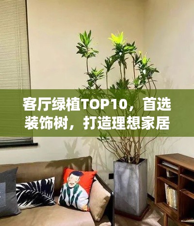客厅绿植TOP10,首选装饰树,打造理想家居氛围