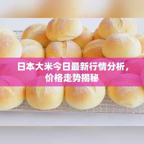 日本大米今日最新行情分析，价格走势揭秘