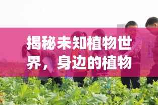 揭秘未知植物世界，身边的植物识别与探索之旅