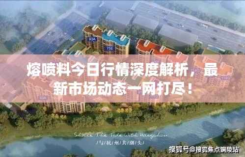 熔喷料今日行情深度解析，最新市场动态一网打尽！