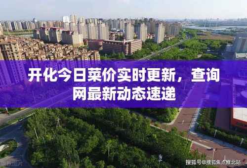 开化今日菜价实时更新，查询网最新动态速递