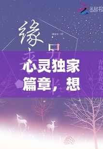 心灵独家篇章，想念的旋律与回响