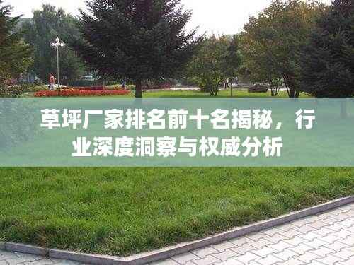 草坪厂家排名前十名揭秘，行业深度洞察与权威分析