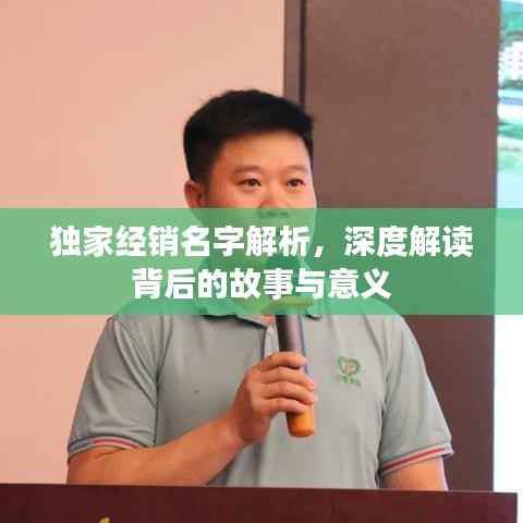 独家经销名字解析，深度解读背后的故事与意义