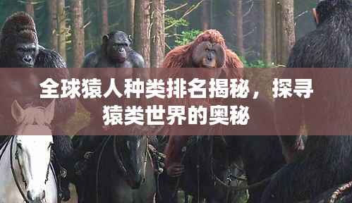 全球猿人种类排名揭秘，探寻猿类世界的奥秘