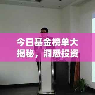 今日基金榜单大揭秘，洞悉投资趋势的最新排名与关键指标分析
