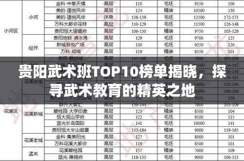 贵阳武术班TOP10榜单揭晓，探寻武术教育的精英之地