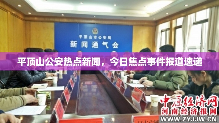 平顶山公安热点新闻，今日焦点事件报道速递