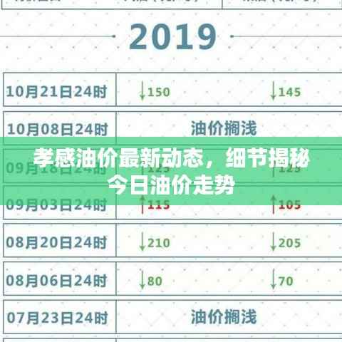 孝感油价最新动态，细节揭秘今日油价走势
