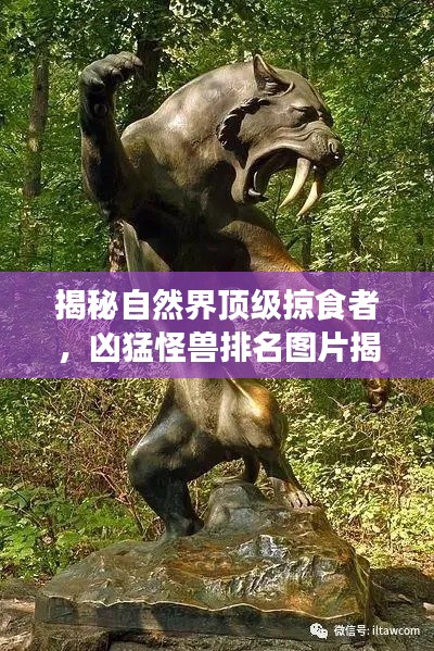 揭秘自然界顶级掠食者，凶猛怪兽排名图片揭示力量与威严