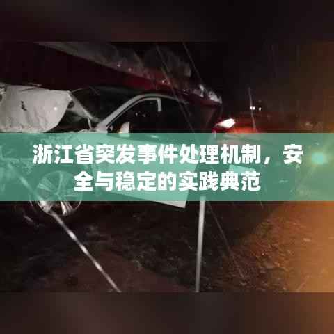 浙江省突发事件处理机制，安全与稳定的实践典范