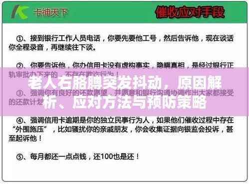 老人右胳膊突发抖动，原因解析、应对方法与预防策略