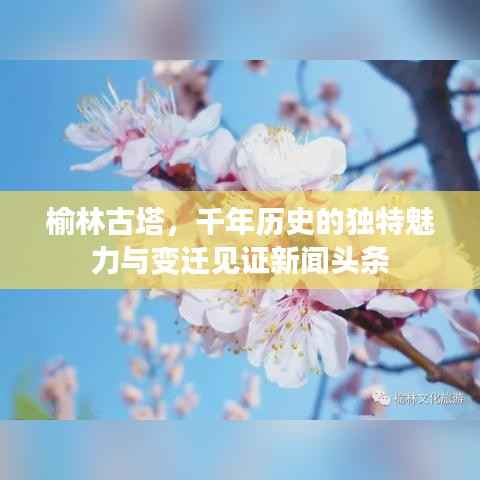 榆林古塔，千年历史的独特魅力与变迁见证新闻头条