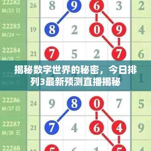 揭秘数字世界的秘密，今日排列3最新预测直播揭秘