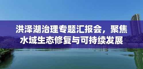 洪泽湖治理专题汇报会，聚焦水域生态修复与可持续发展