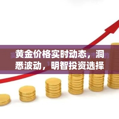 黄金价格实时动态，洞悉波动，明智投资选择
