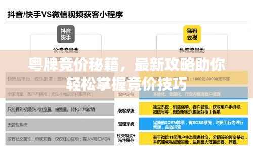 粤牌竞价秘籍，最新攻略助你轻松掌握竞价技巧