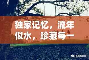 独家记忆，流年似水，珍藏每一刻的青春年华