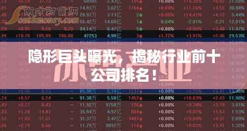 隐形巨头曝光，揭秘行业前十公司排名！