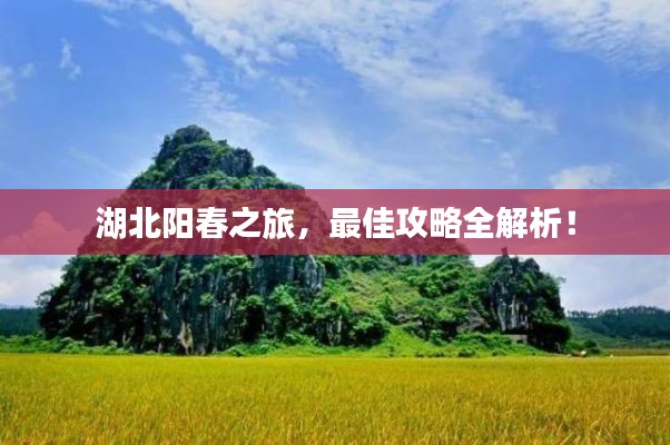 湖北阳春之旅，最佳攻略全解析！