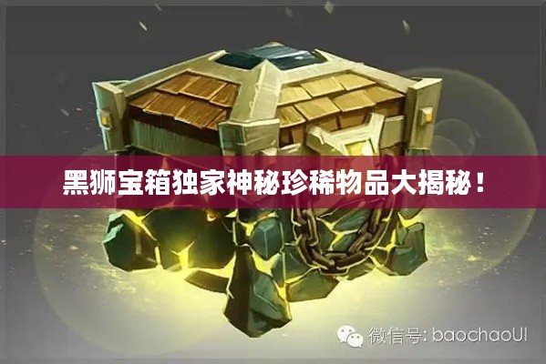 黑狮宝箱独家神秘珍稀物品大揭秘！