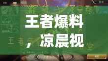 王者爆料,凉晨视频集锦全新呈现