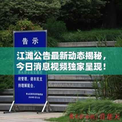 江滩公告最新动态揭秘,今日消息视频独家呈现!