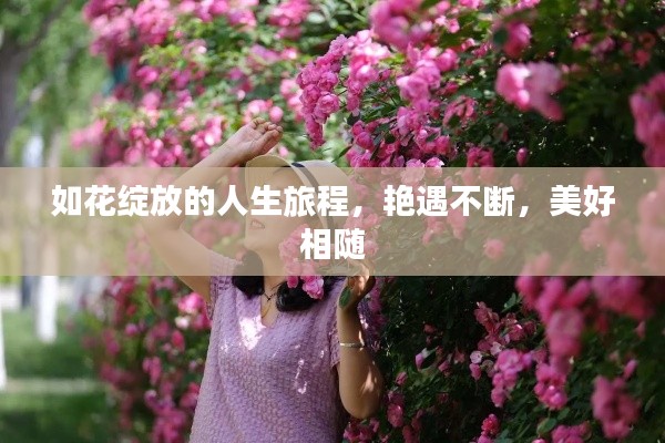 物稀为贵 第4页