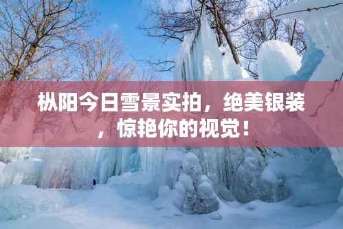 枞阳今日雪景实拍，绝美银装，惊艳你的视觉！