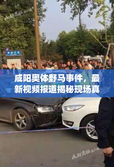 咸阳奥体野马事件，最新视频报道揭秘现场真相