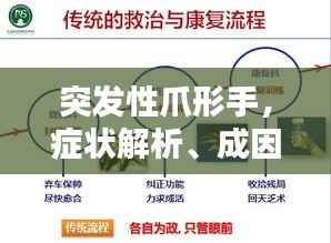 突发性爪形手，症状解析、成因探究与治疗方案