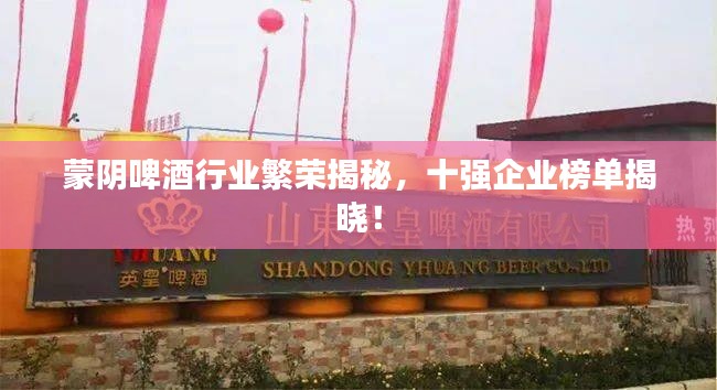 蒙阴啤酒行业繁荣揭秘，十强企业榜单揭晓！