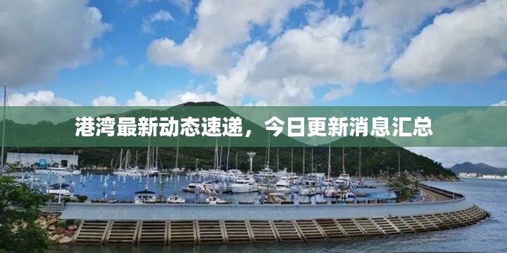港湾最新动态速递，今日更新消息汇总