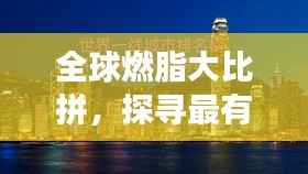 全球燃脂大比拼，探寻最有效的减脂秘诀！