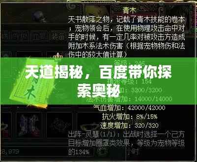 接连不断 第5页