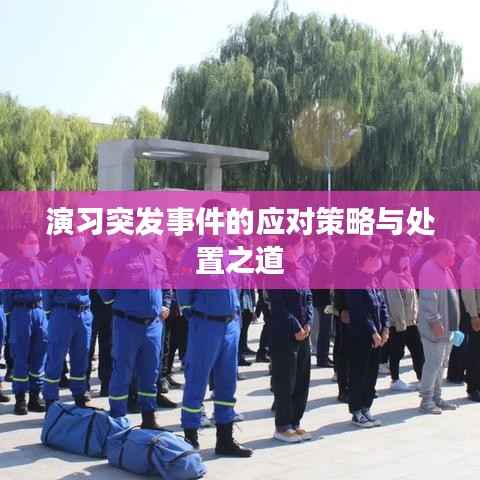 演习突发事件的应对策略与处置之道