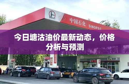 今日塘沽油价最新动态，价格分析与预测