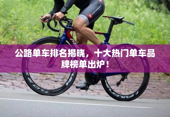 公路单车排名揭晓，十大热门单车品牌榜单出炉！